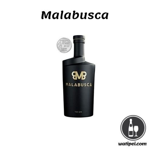 4.  Malabusca Gin Ginebra española