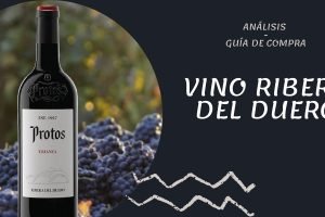Mejores Vinos Ribera del Duero – ¡¡El mejor Ribera del mundo!!